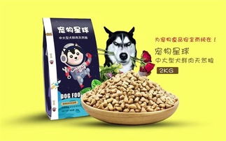 寵業(yè)新風(fēng)向 從米多多貓糧到地域品牌的市場(chǎng)布局與加盟觀察