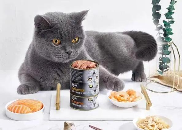 寵物食品進口清關資料,進口寵物食品代理清關