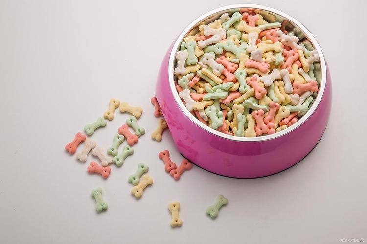 寵物食品助消化功能檢測:康派斯助力守護愛寵腸胃健康
